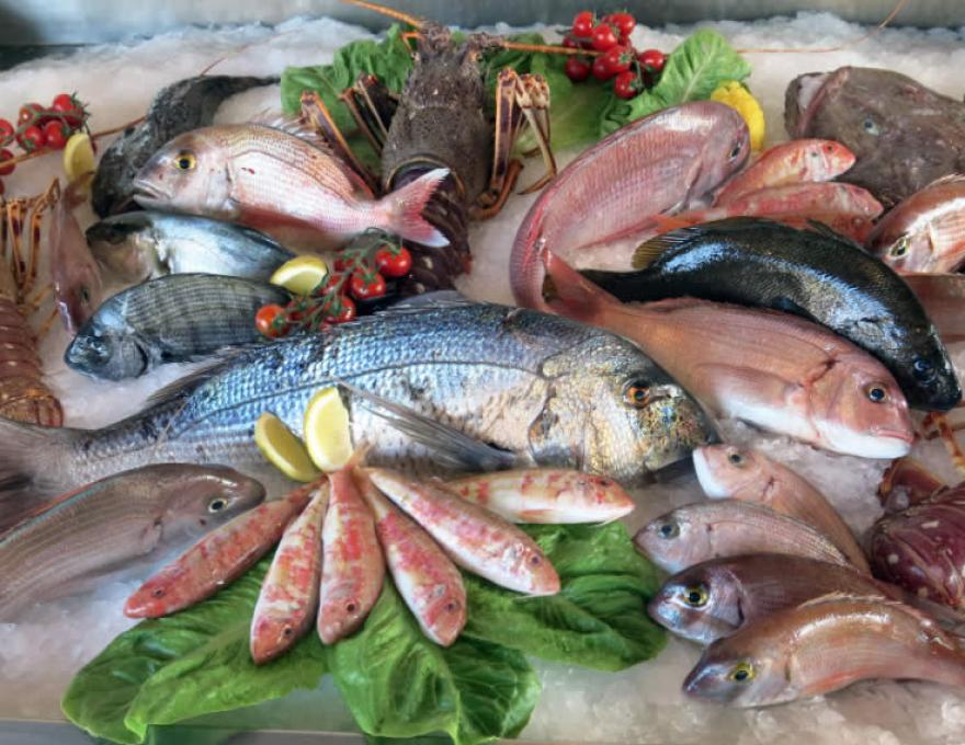 ΙΧΘΥΟΠΩΛΕΙΟ ΦΡΕΣΚΟΣ2