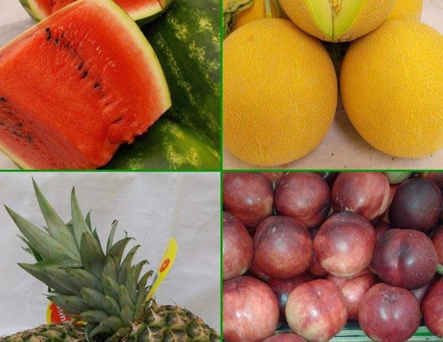 ΦΡΟΥΤΑΓΟΡΑ  ΔΑΣΟΥΣ4