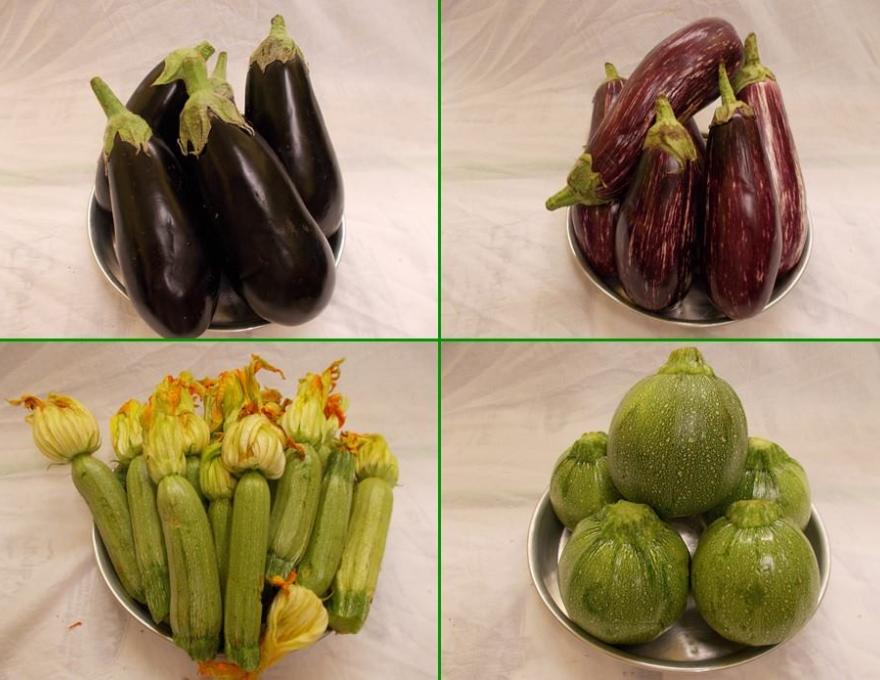 ΦΡΟΥΤΑΓΟΡΑ  ΔΑΣΟΥΣ3