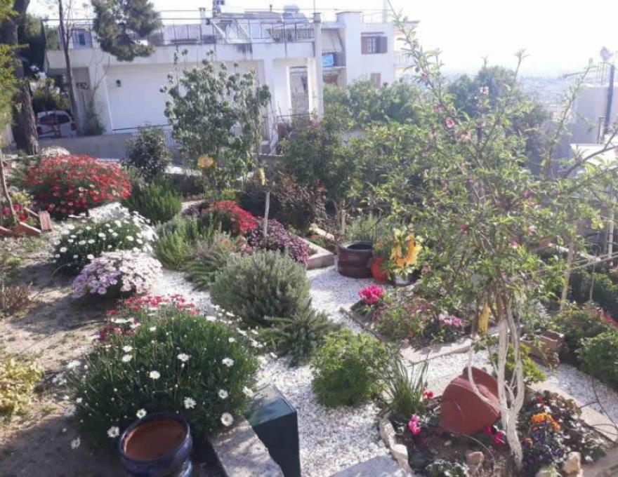 ΦΥΤΩΡΙΟ ΓΕΩΡΓΙΟΣ ΠΑΠΙΟΜΥΤΗΣ3