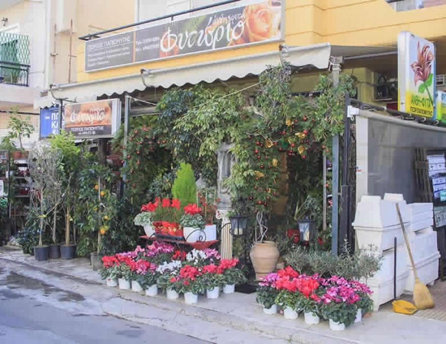 ΦΥΤΩΡΙΟ ΓΕΩΡΓΙΟΣ ΠΑΠΙΟΜΥΤΗΣ0