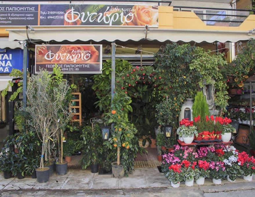 ΦΥΤΩΡΙΟ ΓΕΩΡΓΙΟΣ ΠΑΠΙΟΜΥΤΗΣ1