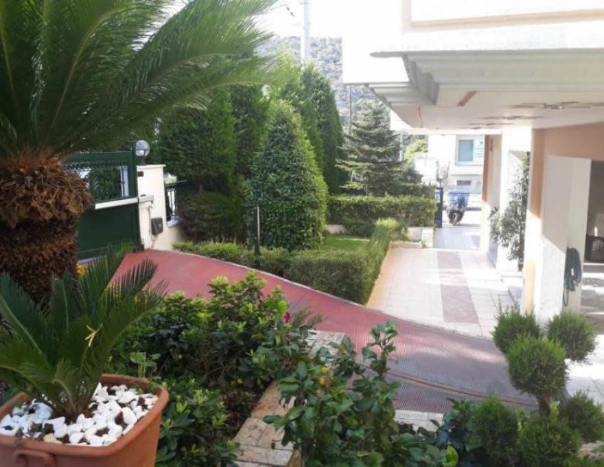 ΦΥΤΩΡΙΟ ΓΕΩΡΓΙΟΣ ΠΑΠΙΟΜΥΤΗΣ4